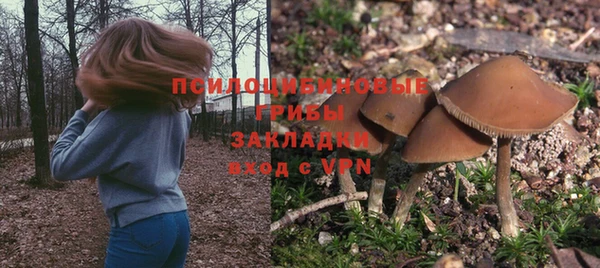 дмт Протвино