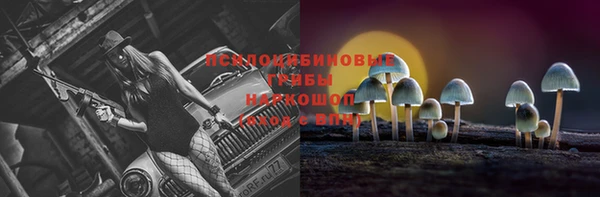 СК Приозерск