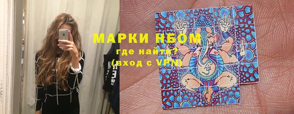 дмт Протвино