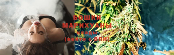 дмт Протвино
