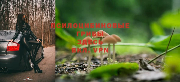дмт Протвино