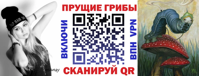 Галлюциногенные грибы Psilocybine cubensis  Купить закладки  Дзержинский 